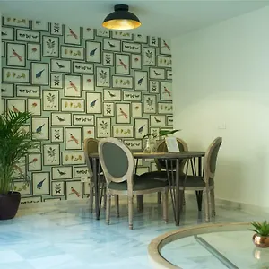  Apartment & Center Premiun Spain